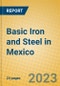 Basic Iron and Steel in Mexico - Product Thumbnail Image