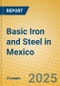 Basic Iron and Steel in Mexico - Product Thumbnail Image