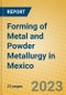 Forming of Metal and Powder Metallurgy in Mexico - Product Image