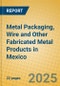 Metal Packaging, Wire and Other Fabricated Metal Products in Mexico - Product Thumbnail Image