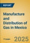 Manufacture and Distribution of Gas in Mexico - Product Image