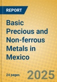 Basic Precious and Non-ferrous Metals in Mexico- Product Image