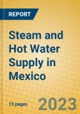 Steam and Hot Water Supply in Mexico- Product Image