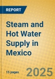 Steam and Hot Water Supply in Mexico- Product Image