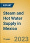 Steam and Hot Water Supply in Mexico - Product Image
