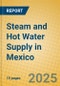 Steam and Hot Water Supply in Mexico - Product Thumbnail Image