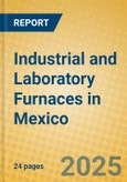 Industrial and Laboratory Furnaces in Mexico- Product Image