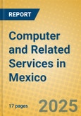 Computer and Related Services in Mexico- Product Image