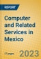 Computer and Related Services in Mexico - Product Image