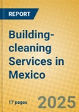 Building-cleaning Services in Mexico- Product Image