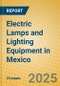 Electric Lamps and Lighting Equipment in Mexico - Product Image