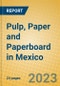Pulp, Paper and Paperboard in Mexico - Product Image
