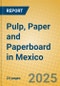 Pulp, Paper and Paperboard in Mexico - Product Image