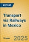 Transport via Railways in Mexico - Product Image