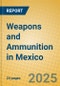 Weapons and Ammunition in Mexico - Product Thumbnail Image