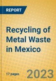 Recycling of Metal Waste in Mexico- Product Image