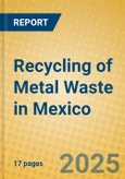 Recycling of Metal Waste in Mexico- Product Image