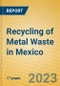 Recycling of Metal Waste in Mexico - Product Thumbnail Image