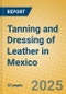 Tanning and Dressing of Leather in Mexico - Product Thumbnail Image