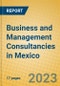 Business and Management Consultancies in Mexico - Product Image