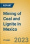 Mining of Coal and Lignite in Mexico - Product Thumbnail Image