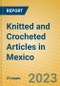 Knitted and Crocheted Articles in Mexico - Product Image