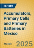 Accumulators, Primary Cells and Primary Batteries in Mexico- Product Image