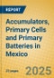 Accumulators, Primary Cells and Primary Batteries in Mexico - Product Thumbnail Image