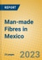 Man-made Fibres in Mexico - Product Image