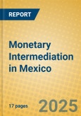 Monetary Intermediation in Mexico- Product Image