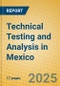 Technical Testing and Analysis in Mexico - Product Image