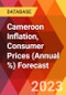 Cameroon Inflation, Consumer Prices (Annual %) Forecast - Product Thumbnail Image