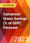 Cameroon Gross Savings (% of GDP) Forecast - Product Thumbnail Image