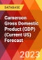 Cameroon Gross Domestic Product (GDP) (Current US) Forecast - Product Thumbnail Image