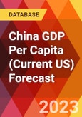 China GDP Per Capita (Current US) Forecast- Product Image