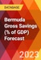 Bermuda Gross Savings (% of GDP) Forecast - Product Thumbnail Image