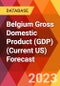 Belgium Gross Domestic Product (GDP) (Current US) Forecast - Product Thumbnail Image
