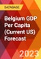 Belgium GDP Per Capita (Current US) Forecast - Product Thumbnail Image