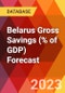 Belarus Gross Savings (% of GDP) Forecast - Product Thumbnail Image