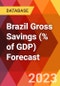 Brazil Gross Savings (% of GDP) Forecast - Product Thumbnail Image