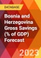 Bosnia and Herzegovina Gross Savings (% of GDP) Forecast - Product Thumbnail Image