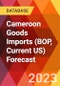 Cameroon Goods Imports (BOP, Current US) Forecast - Product Thumbnail Image