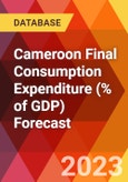 Cameroon Final Consumption Expenditure (% of GDP) Forecast- Product Image