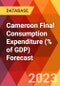 Cameroon Final Consumption Expenditure (% of GDP) Forecast - Product Thumbnail Image
