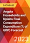 Angola Households and Npishs Final Consumption Expenditure (% of GDP) Forecast - Product Thumbnail Image