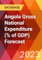 Angola Gross National Expenditure (% of GDP) Forecast - Product Thumbnail Image