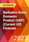 Barbados Gross Domestic Product (GDP) (Current US) Forecast - Product Thumbnail Image