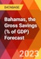 Bahamas, the Gross Savings (% of GDP) Forecast - Product Thumbnail Image