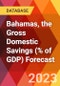 Bahamas, the Gross Domestic Savings (% of GDP) Forecast - Product Thumbnail Image