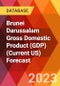 Brunei Darussalam Gross Domestic Product (GDP) (Current US) Forecast - Product Thumbnail Image